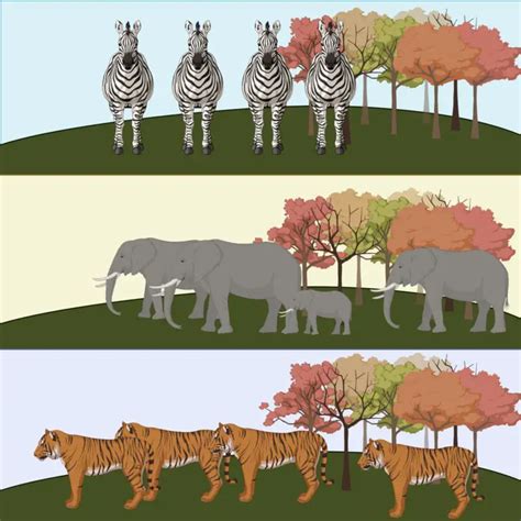 Levels of Ecological Organization - Definition, Examples - Biology ...