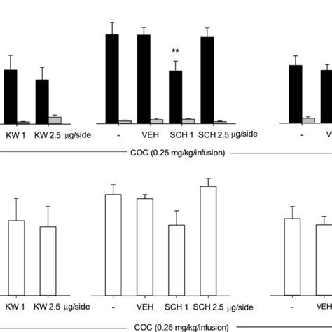 Intra Nac Effects Of A2a Receptor Antagonists Kw 6002 Kw Download Scientific Diagram