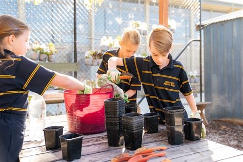 Henley Beach Primary School Department For Education