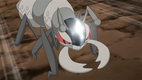 Pokemon Inspired Ant Species Name Wanted By Researchers Gamerevolution