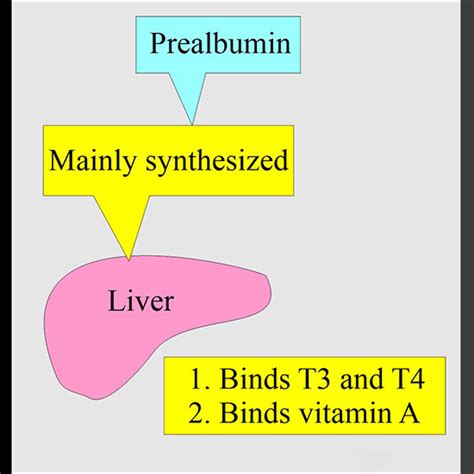 Prealbumin | Test Price In Delhi | Cost Near Me, India | Ganesh Diagnostic