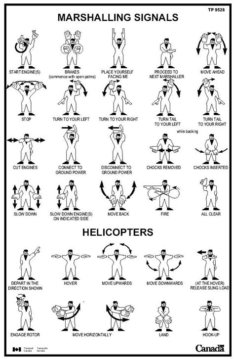 Marshalling Signals Helicopters Pilots Aviation Aviation Training