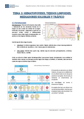 Apuntes Inmunologia Tema Pdf