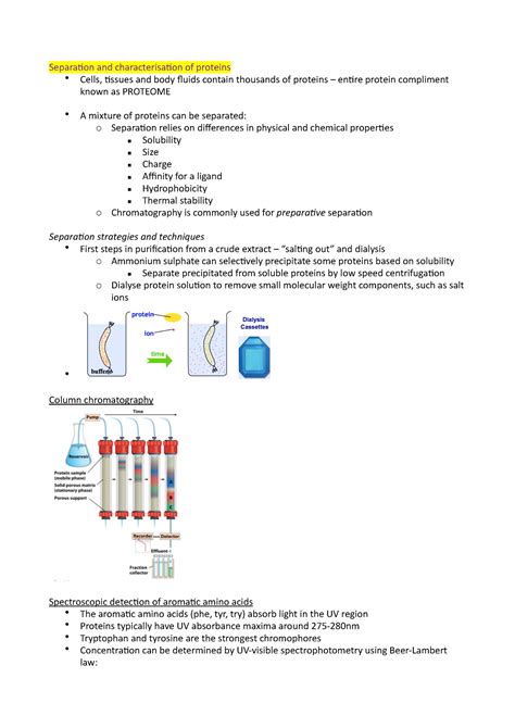 Separation And Characterisation Of Proteins Separa On And