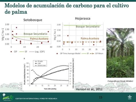 Evaluación De Las Reservas De Carbono En Bosques Secundarios Y Cultiv