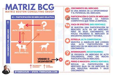 ¿qué Es La Matriz Bcg