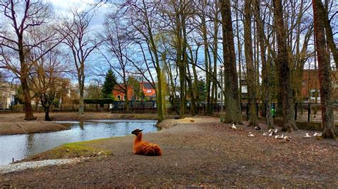 Park Im Fryderyka Chopina Ul Tadeusza Ko Ciuszki Konin