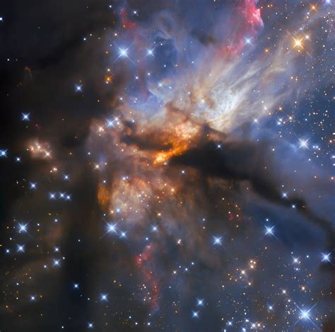 This dark nebula hides an enormous star