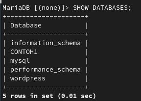 tutorial langkah langkah membuat  senaarliandi medium