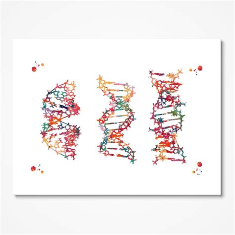 Shop Dna Science Prints Genetic Art At Mimiprints Anatomy Art Prints