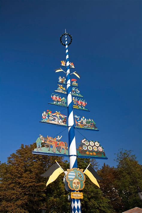 Maibaum Auf Dem Viktualienmarkt Bild Kaufen 70244870 Lookphotos