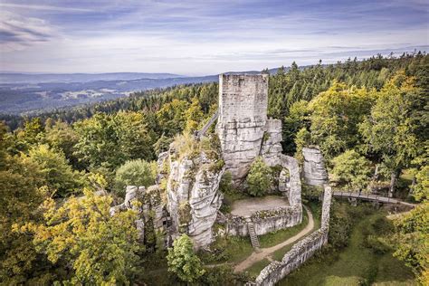 Neue Gäste Oberpfälzer Wald