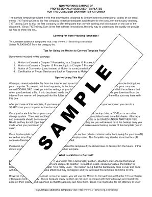 Fillable Online Sample Bankruptcy Pleading Template 713Training