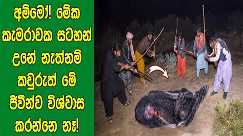 අම්මෝ මේක කැමරාවක සටහන් උනේ නැත්නම් කවුරුත් මේ ජීවීන්ව විශ්වාස කරන්නෙ