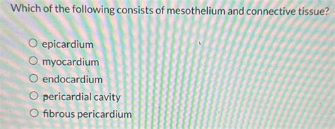 Solved Which Of The Following Consists Of Mesothelium And Connective