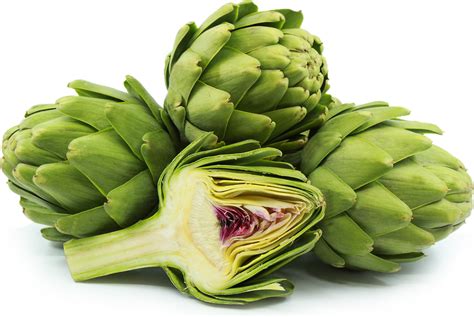 Artichokes Were First Cultivated In The Mediterranean Region Thousands