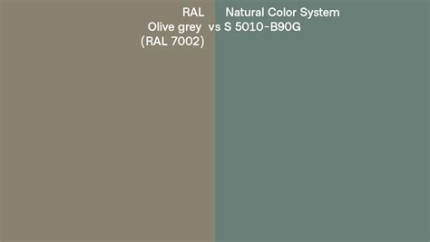 RAL Olive Grey RAL 7002 Vs Natural Color System S 5010 B90G Side By