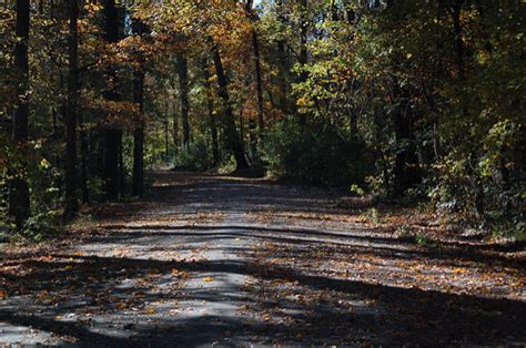 Best & Most Beautiful Hiking Trails Around Memphis - Thrillist