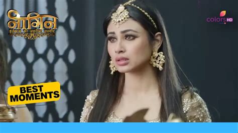 Will Shivangi Kill Avantika Naagin S2 Colors TV Serial