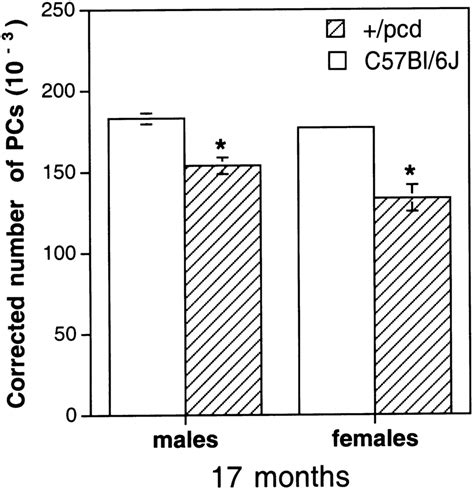 Cell Counts Of Purkinje Cells Pcs Corrected Values Mean Ae Sem N ¼ Download Scientific