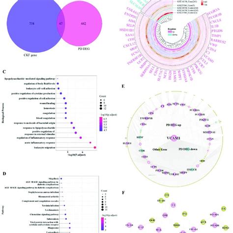 Cross Talk Gene Function And Ppi Network Analysis A Venn Diagram Of