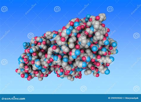 Leucine Molecular Structure Leucine Skeletal Chemical Formula