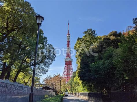 増上寺横から見える東京タワー No 22843455｜写真素材なら「写真ac」無料（フリー）ダウンロードok