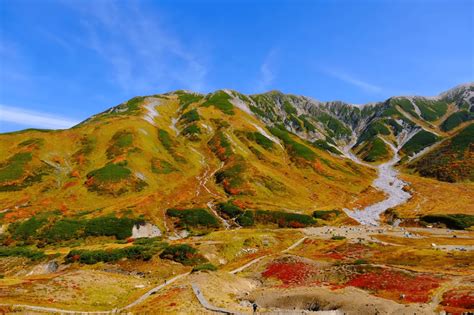 紅葉登山2024【北陸・東海編】秋だけの絶景を！ おすすめの山と見頃まとめ＜立山、白山、大台ヶ原、乗鞍岳、御在所岳など＞ Yamap