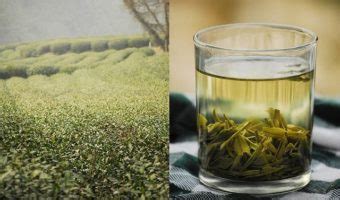 A Traditional Longjing Tea Ceremony in China's "Heaven on Earth"