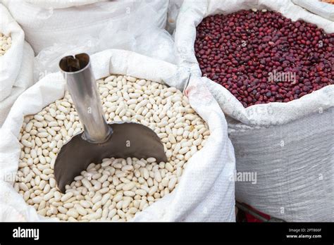 Habichuelas Phaseolus Vulgaris Hi Res Stock Photography And Images Alamy