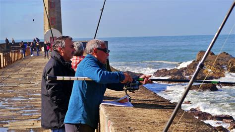 Fisherman Portugal Fish - Free photo on Pixabay - Pixabay