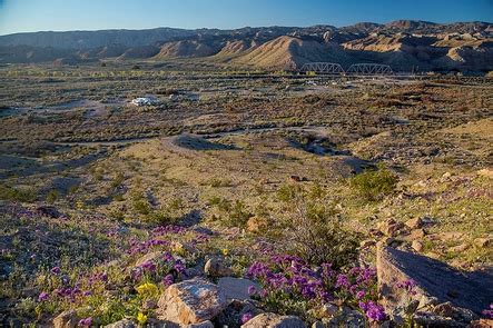 Mojave Trails National Monument | Bureau of Land Management