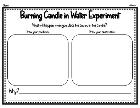 Free Rising Water Experiment Worksheet