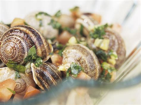 French Food Snails