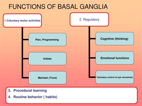 Ppt Basal Ganglia Powerpoint Presentation Free Download Id4137067