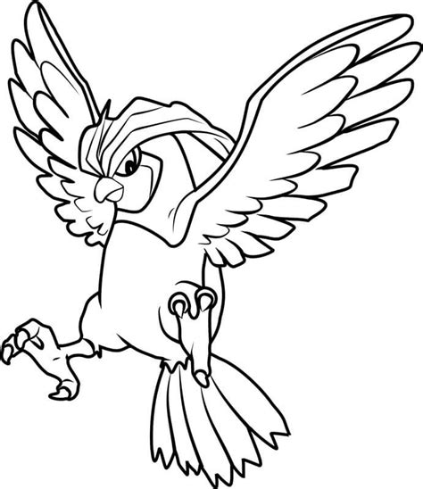 Dibujos De Mega Pidgeot Pokemon Para Colorear Para Colorear Pintar E