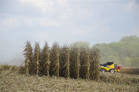 Farm Science Review Celebrating 60 Years Ohio Ag Net Ohio S Country Journal