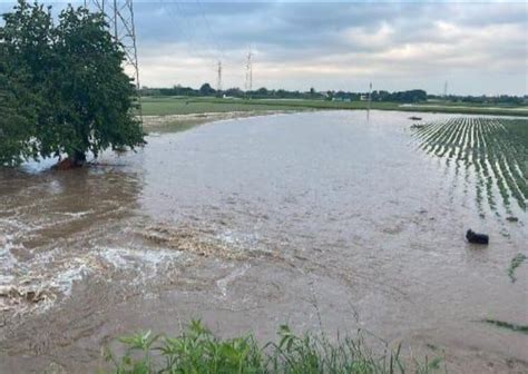 Maltempo In Veneto Allerta Fino A Venerd Pomeriggio Strade Allagate