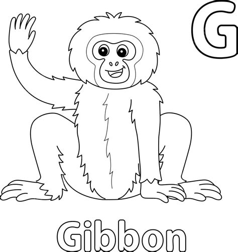 Gibbon Animal Alphabet Abc Isolated Coloring G Lesser Apes Graphic Line