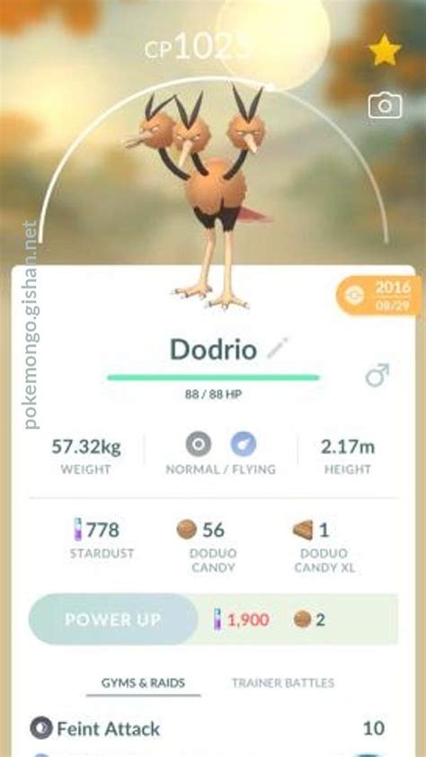 Dodrio - Pokemon Go