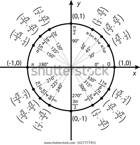 Trigonometric Functions On Unit Circle Stock Vector Royalty Free