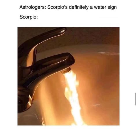 Zodiac Memes Scorpio Memes Where Passion Runs Deep