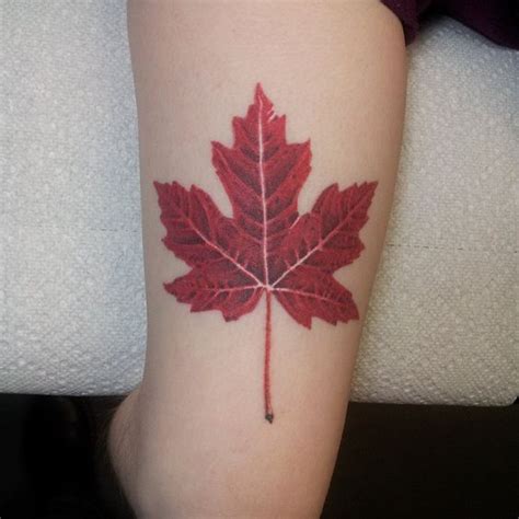 Maple Leaf Tattoo Meaning And Ideas For Men And Women 🍁