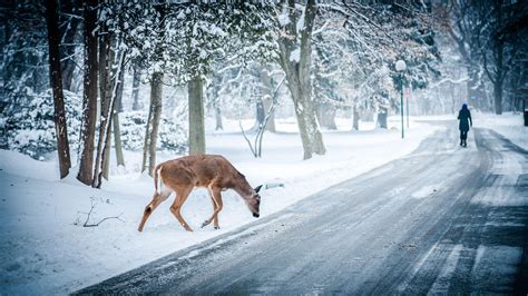 Winter Is Here Wallpapers - Wallpaper Cave