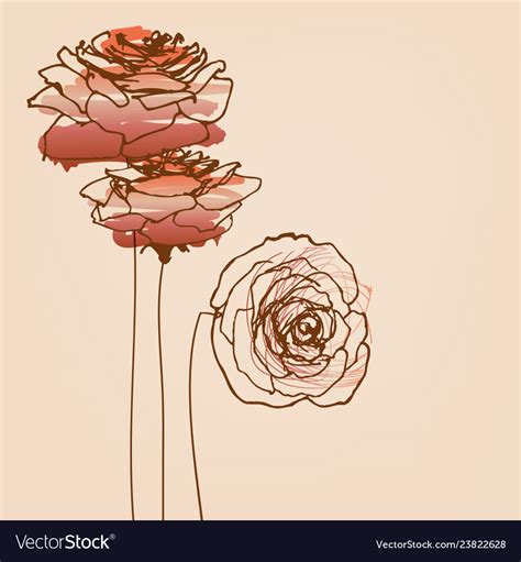 Roses card beautiful symbols love Royalty Free Vector Image