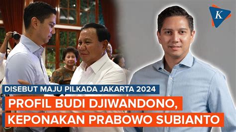 Profil Budi Djiwandono Keponakan Prabowo Yang Disebut Bakal Maju