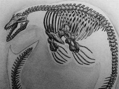 Sea Serpent Skeleton by D-FantasyArt on DeviantArt