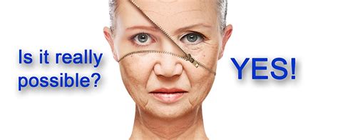 Longevity Technologies Aging Reversal Lifespan Extension Healthy