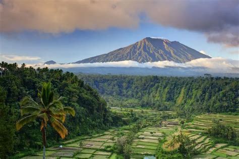 Top 7 Blissful Bali Meditation Retreats In 2025 [#5 Is A Must See]