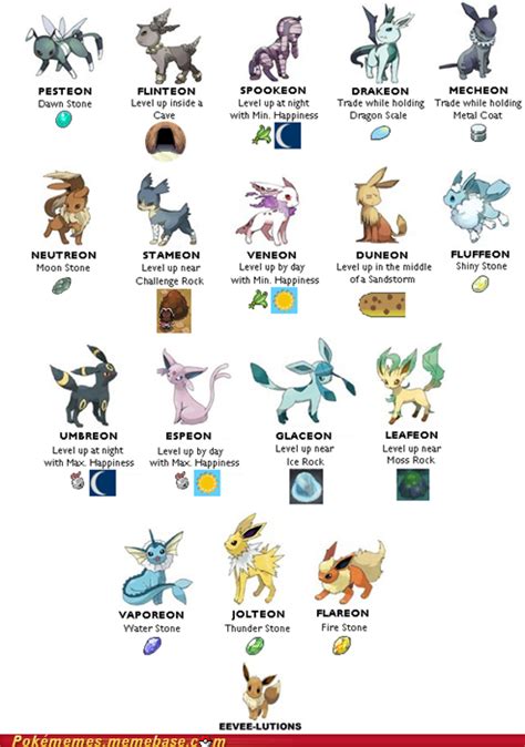 What Is the Best Evolution of Eevee